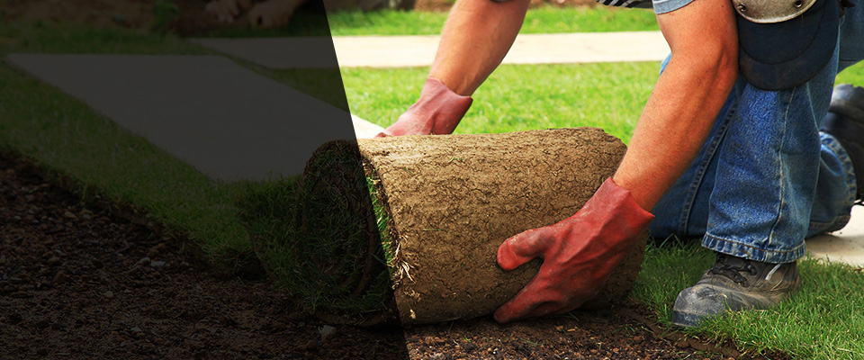 Coos Bay Landscapers